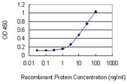 Monoclonal Anti-UPP1, (N-terminal) antibody produced in mouse clone 2F5, purified immunoglobulin, buffered aqueous solution
