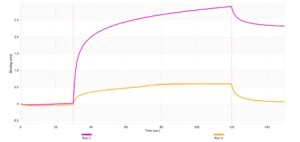 Anti-CLDN3 Antibody, clone 2K5 ZooMAb® Rabbit Monoclonal recombinant, expressed in HEK 293 cells