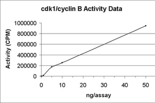Cdk1/cyclin B Protein, active, 10 &#181;g Active, C-terminal His6-tagged human full length Cdk1 &amp; N-terminal GST-tagged human full length Cyclin B, for use in Kinase Assays.