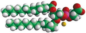 14:0 PS Avanti Research&#8482; - A Croda Brand