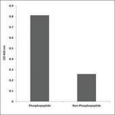 Anti-phospho-p53 (pSer46) antibody produced in rabbit affinity isolated antibody