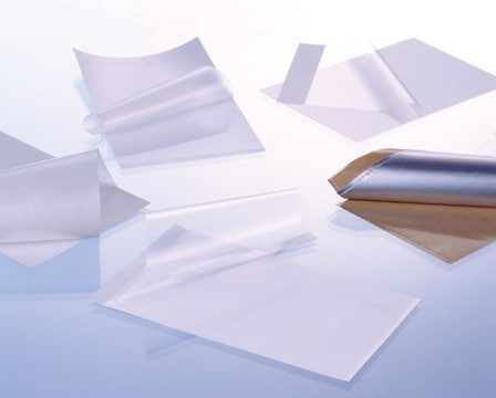 Greiner 多孔板密封膜 EASYseal&#8482; sealing film, transparent, standard adhesive foil on carrier paper