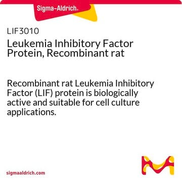 白血病抑制因子蛋白，重组大鼠 Recombinant rat Leukemia Inhibitory Factor (LIF) protein is biologically active and suitable for cell culture applications.