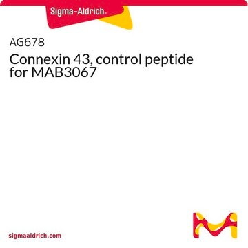 Connexin 43, control peptide for MAB3067