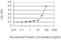 Monoclonal Anti-BCL2L2 antibody produced in mouse clone 2E4, purified immunoglobulin, buffered aqueous solution