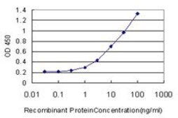 Monoclonal Anti-NGFRAP1 antibody produced in mouse clone 4E5, purified immunoglobulin, buffered aqueous solution