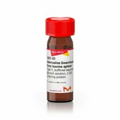 腺苷脱氨酶 来源于牛脾脏 Type X, buffered aqueous glycerol solution, ≥130 units/mg protein