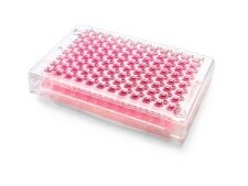 Millicell® 96 well Plates pore size 0.4 μm, polycarbonate membrane, Tissue Culture (TC)-treated surface, automation compatible, pack of 5 × with 96-well receiver plate
