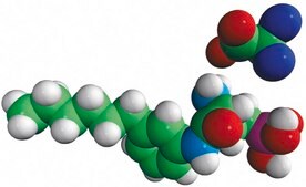 W146 (R)-3-Amino-(3-hexylphenylamino)-4-oxobutylphosphonic acid (TFA salt), powder