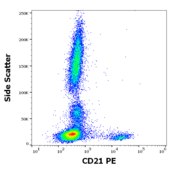 Monoclonal Anti-CD21-PE antibody produced in mouse clone LT21, purified immunoglobulin, buffered aqueous solution