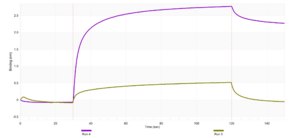 Anti-TRPM7 Antibody, clone 1B7 ZooMAb® Rabbit Monoclonal recombinant, expressed in HEK 293 cells