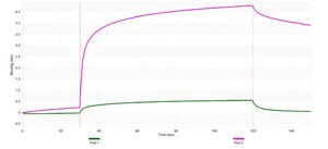 Anti-CYP46A1 Antibody, clone 1C20 ZooMAb&#174; Rabbit Monoclonal recombinant, expressed in HEK 293 cells