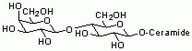 Lactosyl Ceramide, Bovine A neutral glycosphingolipid (GSL) that is the common precursor of the ganglio-, globo-, globoiso-, lacto-, neolacto-, and muco-series of GSL.