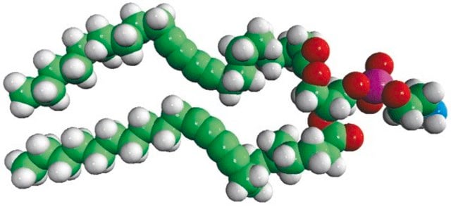 23:2 Diyne PE [DC(8,9)PE] 1,2-bis(10,12-tricosadiynoyl)-sn-glycero-3-phosphoethanolamine, powder