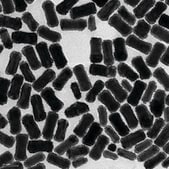 金纳米棒 palladium coated, 25&#160;nm diameter, 100&#160;&#956;g/mL in H2O, dispersion