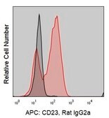 Anti-Mouse CD23 (2G8) ColorWheel® Dye-Ready mAb for use with ColorWheel® Dyes (Required, sold separately)