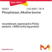 Phosphatase, Alkaline bovine recombinant, expressed in Pichia pastoris, ≥4000 units/mg protein
