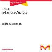 α-乳糖-琼脂糖 saline suspension