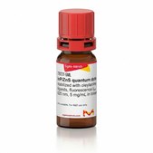 InP/ZnS quantum dots stabilized with oleylamine ligands, fluorescence λem 620 nm, 5 mg/mL in toluene