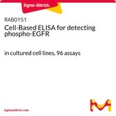 Cell-Based ELISA for detecting phospho-EGFR in cultured cell lines, 96 assays