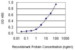 Monoclonal Anti-KRT1 antibody produced in mouse clone 2A7, purified immunoglobulin, buffered aqueous solution