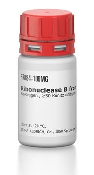 Ribonuclease B from bovine pancreas BioReagent, &#8805;50&#160;Kunitz units/mg protein, &#8805;80% (SDS-PAGE)