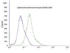 Anti-EGFR antibody, Rabbit monoclonal clone SP9, recombinant, expressed in proprietary host, tissue culture supernatant