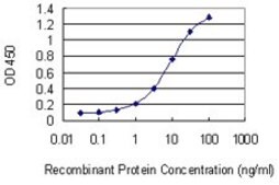 Monoclonal Anti-NPAS4 antibody produced in mouse clone 4E4, purified immunoglobulin, buffered aqueous solution