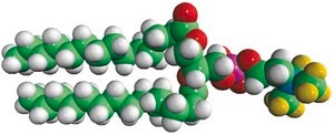 14:0 PC-d9 1,2-dimyristoyl-sn-glycero-3-phosphocholine-N,N,N-trimethyl-d9, powder