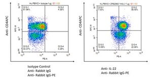 Anti-IL-22 Antibody, clone 1H8-L1 ZooMAb&#174; Rabbit Monoclonal recombinant, expressed in HEK 293 cells