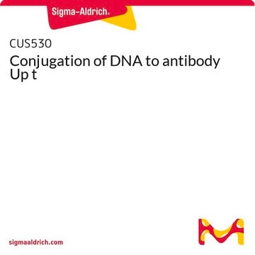 Conjugation of DNA to antibody Up t