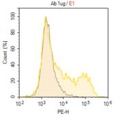 Anti-CD79A/MB-1 Antibody, clone HM47