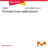 Thrombin from rabbit plasma