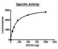 SETD2 active human recombinant, expressed in E. coli, &#8805;70% (SDS-PAGE)