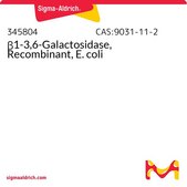 β1-3,6-Galactosidase, Recombinant, E. coli