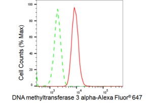 Anti DNA methyltransferase 3 alpha Antibody, clone 23GB2230, Rabbit Monoclonal clone 23GB2230, recombinant rabbit monoclonal, expressed in HEK293 cells