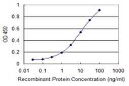 Monoclonal Anti-ULK2 antibody produced in mouse clone 6D12, purified immunoglobulin, buffered aqueous solution