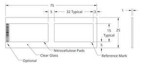 Grace Bio-Labs ONCYTE® SuperNOVA™ nitrocellulose film slides 2-15 mm x 32 mm NC pads per slide, plain glass