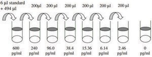 小鼠IL-28A / B ELISA试剂盒 for serum, plasma and cell culture supernatant