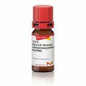 Bis[2-(2′-bromoisobutyryloxy)ethyl]disulfide