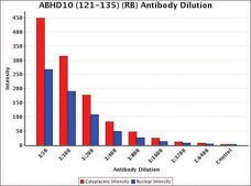 Anti-ABHD10 (121-135) antibody produced in rabbit IgG fraction of antiserum
