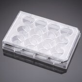 Corning® Falcon® Cell Culture Plate wells, 12, Tissue Culture (TC)-treated surface, flat bottom clear wells, sterile
