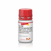 IgG from porcine serum reagent grade, ≥95% (SDS-PAGE), essentially salt-free, lyophilized powder
