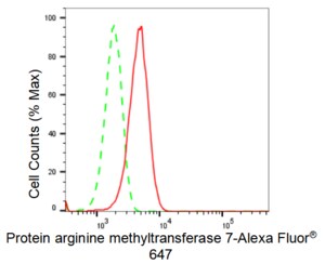 KD-Validated Anti Protein arginine methyltransferase 7 Antibody, clone 23GB2380, Rabbit Monoclonal clone 23GB2380, recombinant rabbit monoclonal, expressed in HEK293 cells