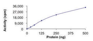 ALK2 (R206H), Active PRECISIO® Kinase, recombinant