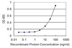 Monoclonal Anti-ZFYVE16, (N-terminal) antibody produced in mouse clone 2E2, purified immunoglobulin, buffered aqueous solution