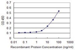 Monoclonal Anti-PANK2 antibody produced in mouse clone 2B12, purified immunoglobulin, buffered aqueous solution