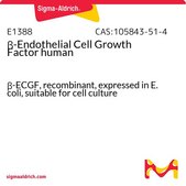 β-Endothelial Cell Growth Factor human β-ECGF, recombinant, expressed in E. coli, suitable for cell culture