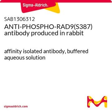 ANTI-PHOSPHO-RAD9(S387) antibody produced in rabbit affinity isolated antibody, buffered aqueous solution