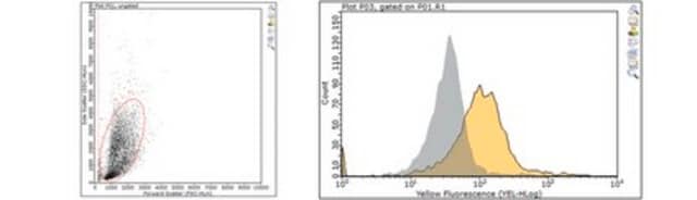 Anti-TSLP Receptor Antibody, clone 22H9 clone 22H9, from rat